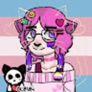 Meet your Posher, Grayson